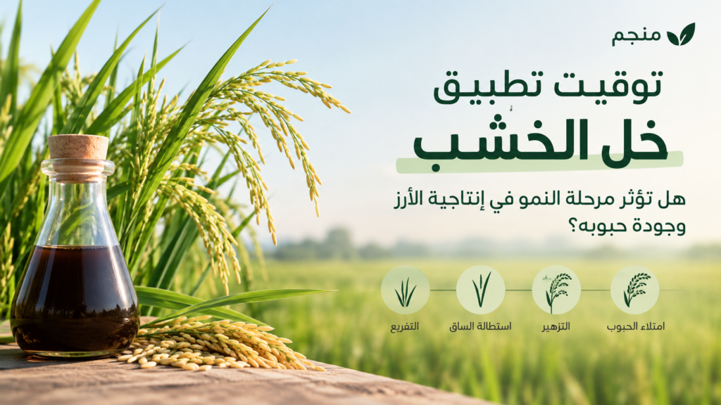 أثر توقيت تطبيق خل الخشب على الأرز